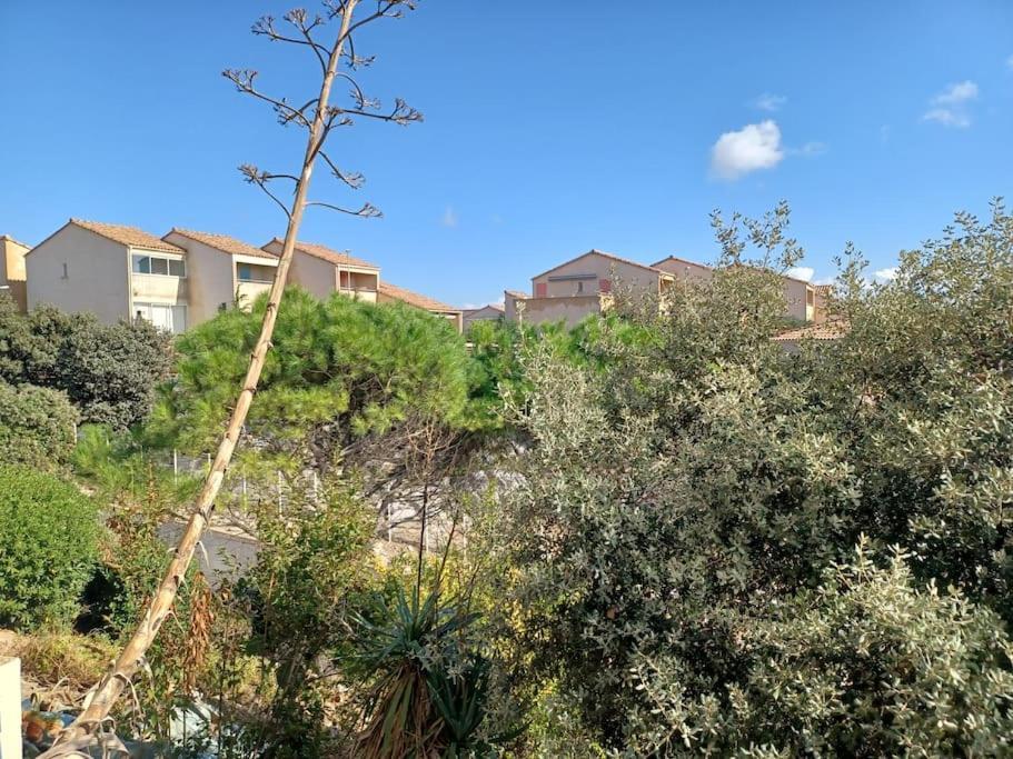 Plain-Pied, Terrasse, Piscine, Pleine Vue Mer, Plage A 6' A Pied, Parking, Wifi 弗勒里 外观 照片
